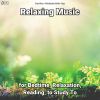 Download track Relaxing Music, Pt. 25