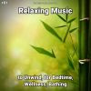 Download track Relaxation Music Pt. 92