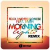 Download track Morning Lights (Renaissance Remix)