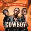 Download track Cowboy VIII (Rekere)