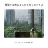 Download track Tranquil Moments By Window