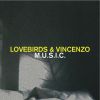 Download track Lovebirds & Vincenzo - Electric Girl