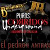 Download track El Pedron Antrax (El JR De Culiacan)