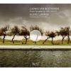 Download track 07 Sonata In C Minor Op. 111 - I Maestoso-Allegro Con Brio Ed Appassionato