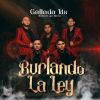 Download track Burlando La Ley