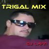 Download track Trigal Mix