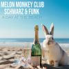 Download track A Day At The Beach (Schwarz & Funk Remix Extended Version)