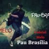 Download track Pau Brasília