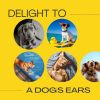 Download track Help Dogs Sleep