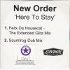 Download track Here To Stay [Felix Da Housecat - Extended Glitz Mix]