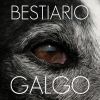 Download track Galgo