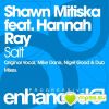 Download track Salt (Mike Danis Remix)