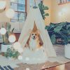 Download track Simple Calming Pups