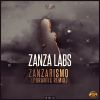 Download track Zanzarismo (Phrantic Remix Extended Mix)