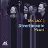 Download track Divertimento In E-Flat Major, KV 563 IV. Andante