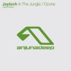 Download track In The Jungle (Original Mix)