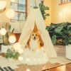 Download track Sprightly Ambiance For Calming Dogs