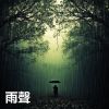 Download track 打雷下雨的聲音 - 雨和雷 - 雨聲 (重複播放，無淡入淡出, 無限循環 - 睡眠、放鬆、學習, 專注、冥想, 冥想音樂, 白噪音, 輕鬆的音樂)