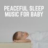 Download track Baby Sleeping Music For Peaceful Dreaming, Pt. 23