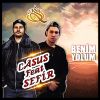 Download track Benim Yolum