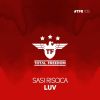 Download track Luv (Radio Edit)