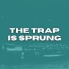 Download track The Trap Is Sprung