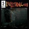 Download track Welcome To Bucketheadland (Live)