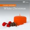 Download track Ach Bittrer Winter (Arr. For Mixed Chamber Ensemble)