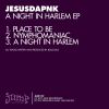 Download track A Night In Harlem