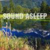 Download track Wyoming Deep Forest Lake Soundscape, Pt. 11