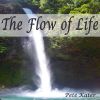 Download track The Flow Of Life