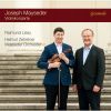 Download track Violin Concerto No. 1 In A Minor, Op. 22: I. Allegro