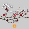 Download track Chinese Music, Plum Blossom Melody