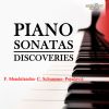 Download track Stenhammar- Sonata No. 4 In G Minor- II. Romanza. Andante Quasi Adagio