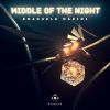 Download track Middle Of The Night