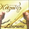 Download track Liberame