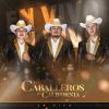 Download track Amarga Derrota (En Vivo)