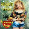 Download track Mi Tonto Amor