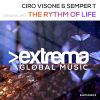 Download track The Rhythm Of Life (Radio Edit)