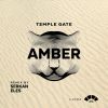 Download track Amber (Serkan Eles Remix)
