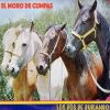 Download track Caballo Alazan Lucero