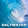 Download track Saltwater (Extended Mix)