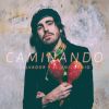 Download track Caminando (Versión Instrumental)