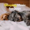 Download track Relaxing Dog Music, Pt. 17