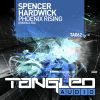 Download track Phoenix Rising (Original Mix)