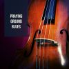 Download track Praying Ground Blues