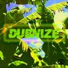 Download track Dubnize