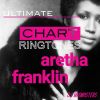 Download track Freeway Of Love (Originally Performed By Aretha Franklin)