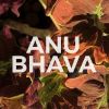 Download track Anu