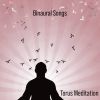 Download track Binaural Chirps Of Intuition